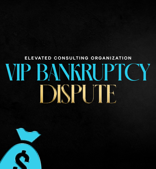 VIP Bankruptcy Dispute